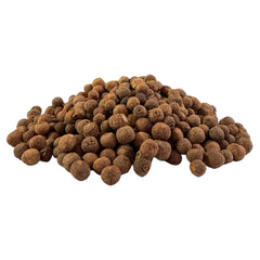 Tane New Spring | Natural Spice