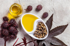 Castor Oil 30 ml | Antioxidant & Pain Relief