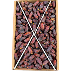 Medina-Dattel (mebrum) X