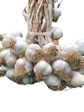 Taşköprü sarımsağı (500g)