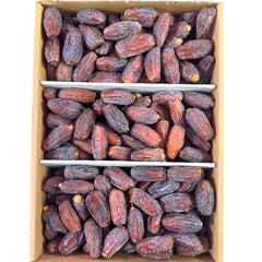 Medina-Dattel (mebrum) X