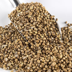 Coriander (100g)