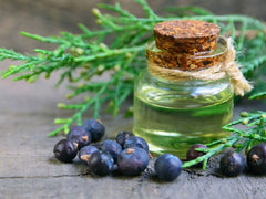 Ardıç Yağı %100 Saf ve Doğal – 20 ml