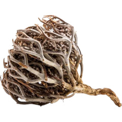 Meryem Ana Otu | Doğal Şifa