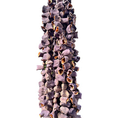 Geleneksel Antep Dolmalık Patlıcan | Doğal Kurutulmuş Lezzet