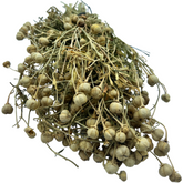 Acker-Enzian (1 Weinberg)