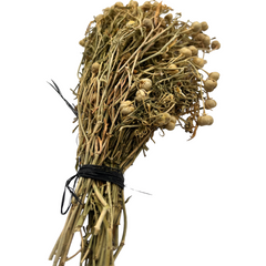 Acker-Enzian (1 Weinberg)