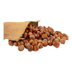 Rohe Haselnüsse in der Schale (750g)