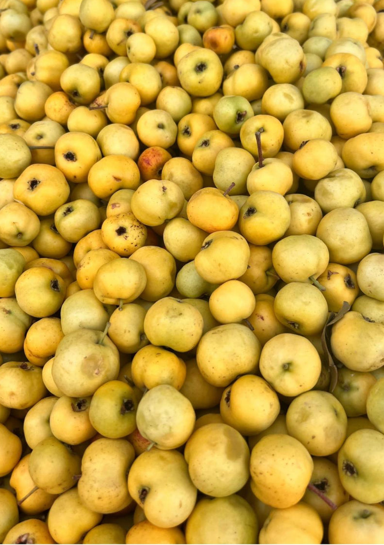 Taze Alıç (500g)