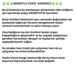 Dereotlu ceviz kürü