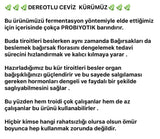 Dereotlu ceviz kürü