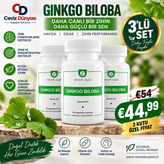 + B12 Ginkgo Biloba 60 capsules