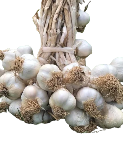 Taşköprü sarımsağı (500g)