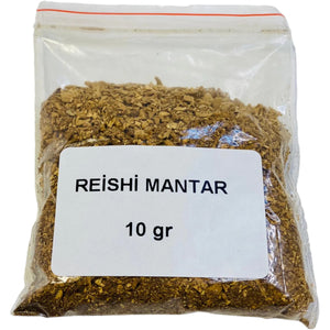 Reishi mantar