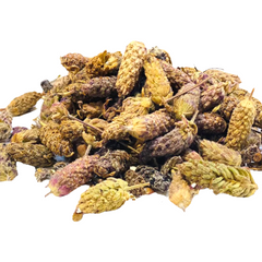 Karabaş otu (25g)
