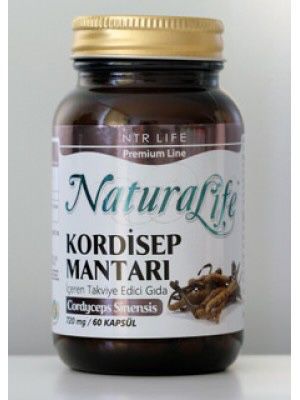 Kordisep mantarı ( NTR Cordyceps Sinensis Mushroom)