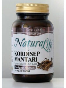 Kordisep mantarı ( NTR Cordyceps Sinensis Mushroom)