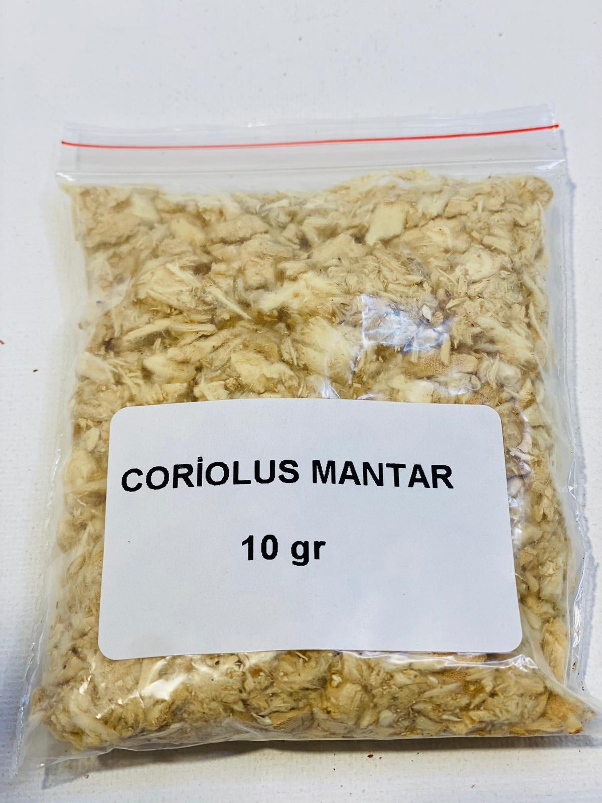 Coriolus mantar