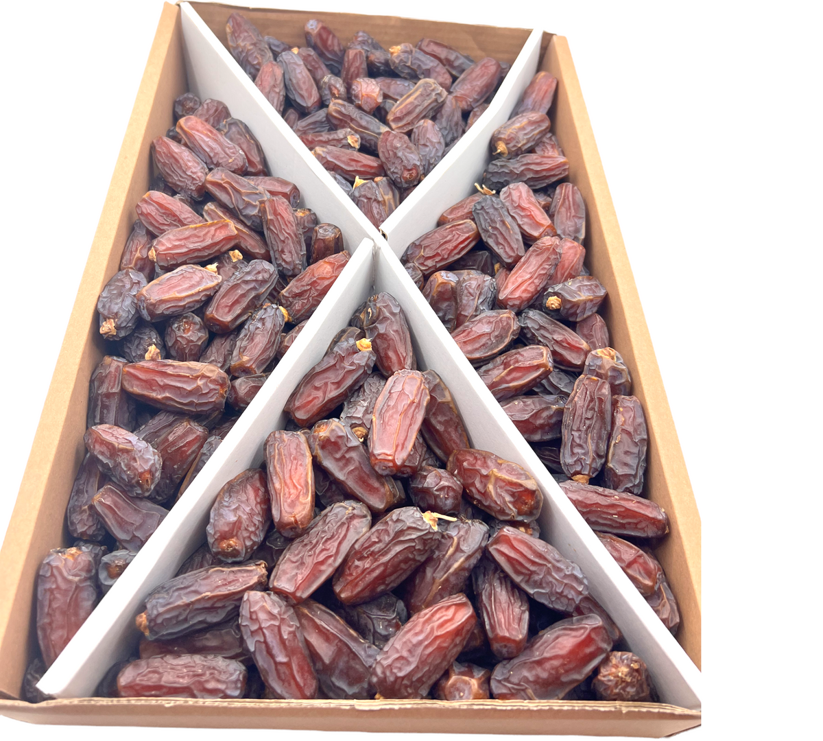 Medina dadel ( mebrum) groot